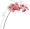 Charming 34&#x22; Artificial Pink Phalaenopsis Orchid - Delicate Faux Silk Flower Arrangement for Home, Events, and Elegant Gifts - Realistic Floral Decor